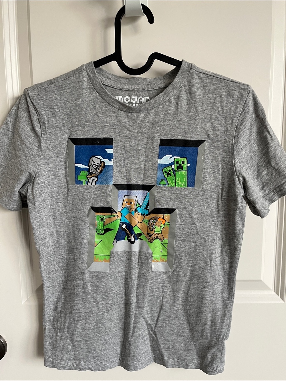 Boys' Gray Minecraft Graphic Short Sleeve Tee